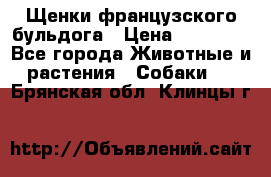 Щенки французского бульдога › Цена ­ 30 000 - Все города Животные и растения » Собаки   . Брянская обл.,Клинцы г.